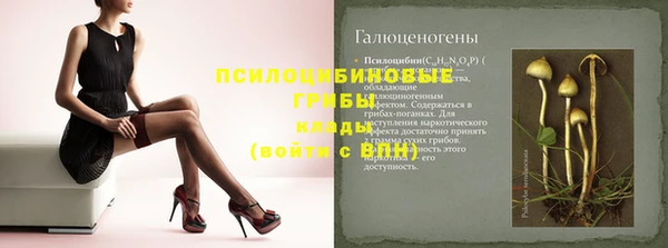гашик Абдулино