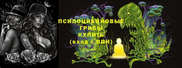 МДПВ Алексеевка