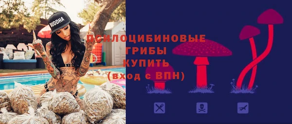 прущая мука Алзамай