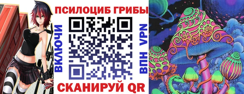 купить наркотики цена  сайты даркнета состав  Псилоцибиновые грибы Cubensis  Кашира 