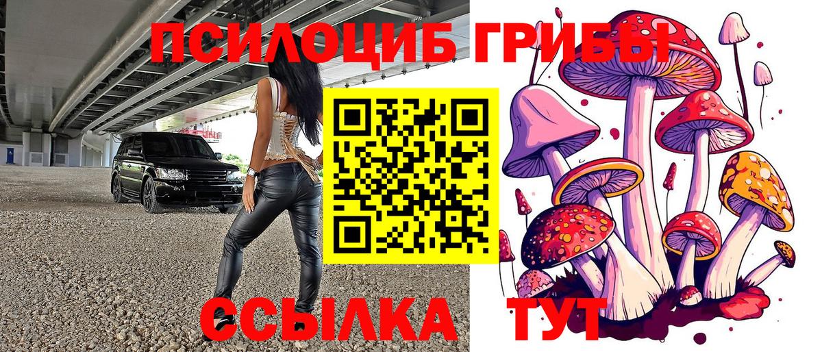 Псилоцибиновые грибы GOLDEN TEACHER  Вход с VPN  Кашира 