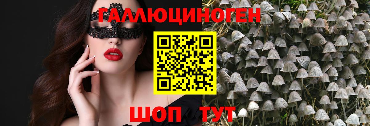 Псилоцибиновые грибы Magic Shrooms Кашира